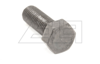 Hexagon head screw M20x55