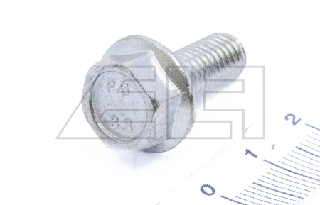 HEXAGON HEAD SCREW - 178170