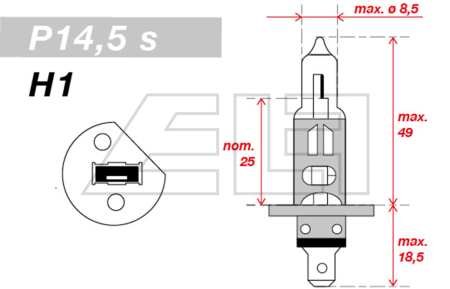 H1 Light bulb 12V 55W - 216576