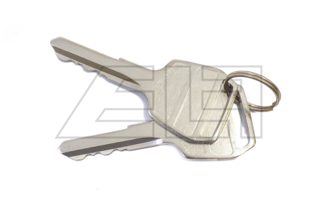 Ignition key - 216876