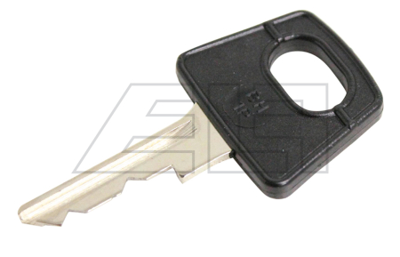 Ignition key - 217009