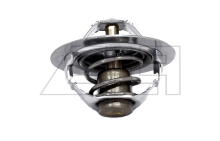 Thermostat - 22301