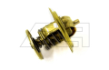 THERMOSTAT - 224074