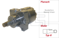 Hydraulic motor